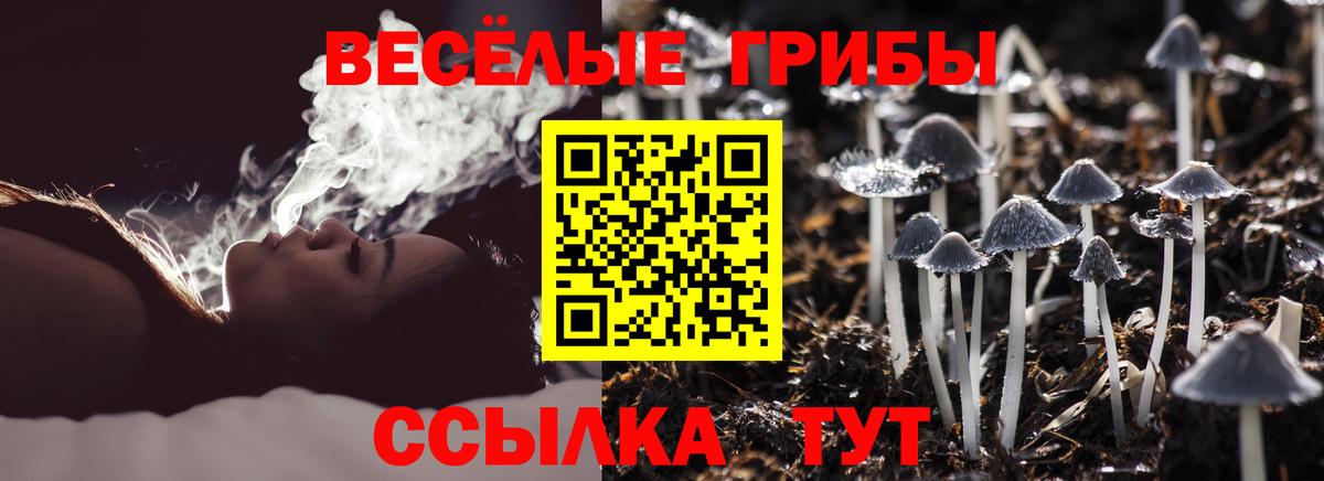Псилоцибиновые грибы прущие грибы  Галлюциногенные грибы мицелий  Вход с VPN  Костомукша 