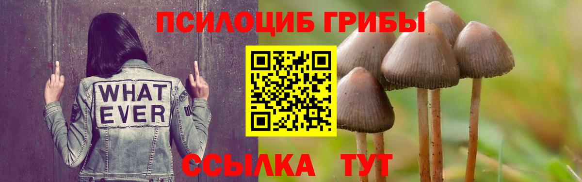 Псилоцибиновые грибы GOLDEN TEACHER Костомукша